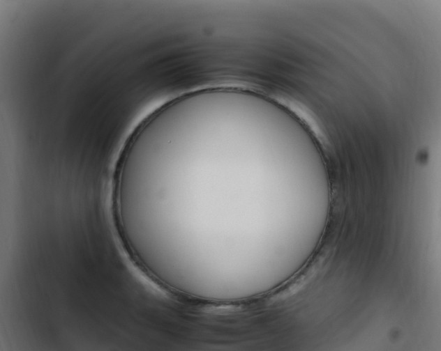 X0000103451135200809121119