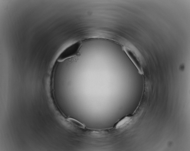 X0000103451138200809121119