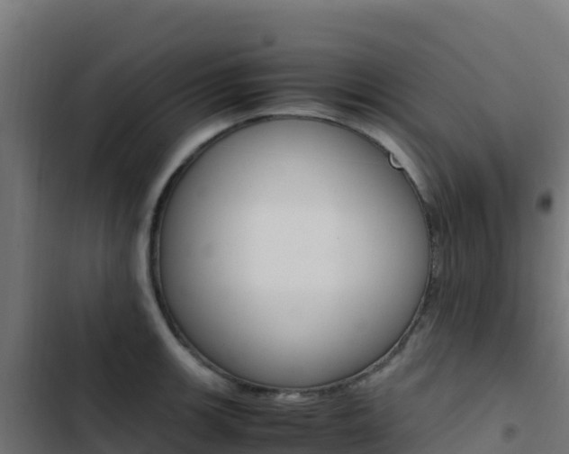 X0000103451139200809121119