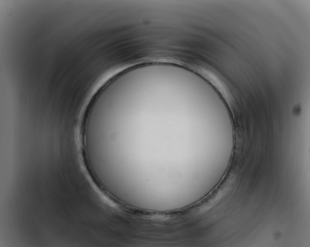 X0000103451141200809121119