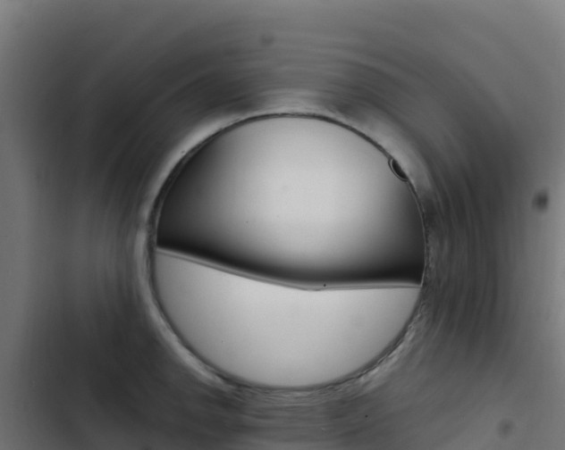 X0000103451142200809121119