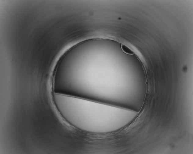 X0000103451144200809121119