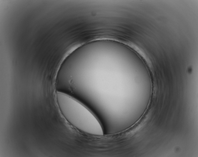 X0000103451145200809121119
