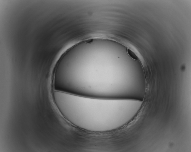 X0000103451146200809121119