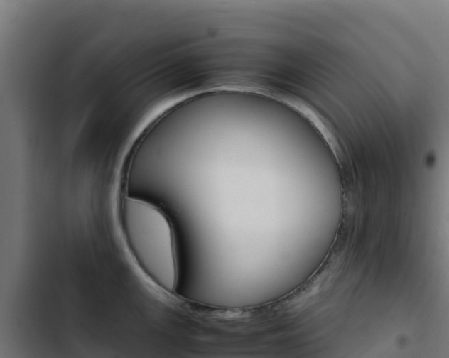 X0000103451147200809121119