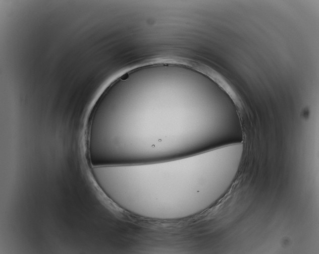 X0000103451148200809121119