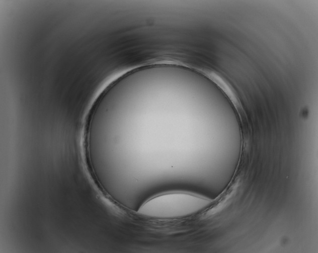 X0000103451149200809121119