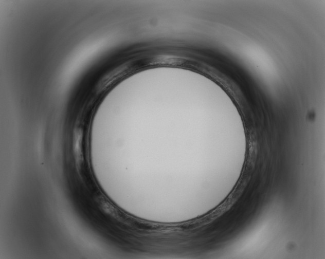 X0000103451150200809121119