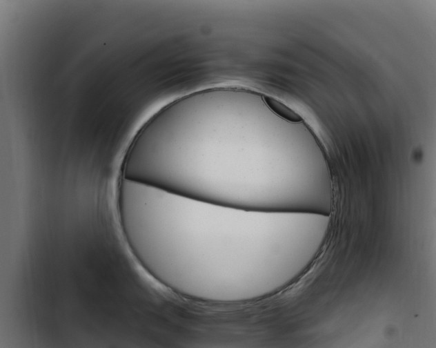 X0000103451151200809121119