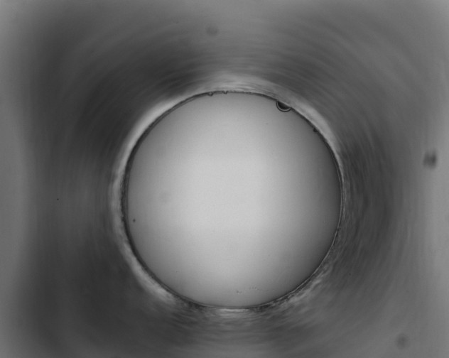 X0000103451152200809121119