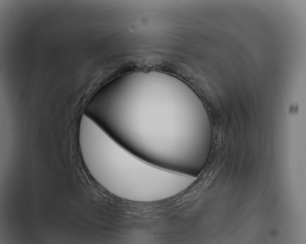 X0000103451153200809121119