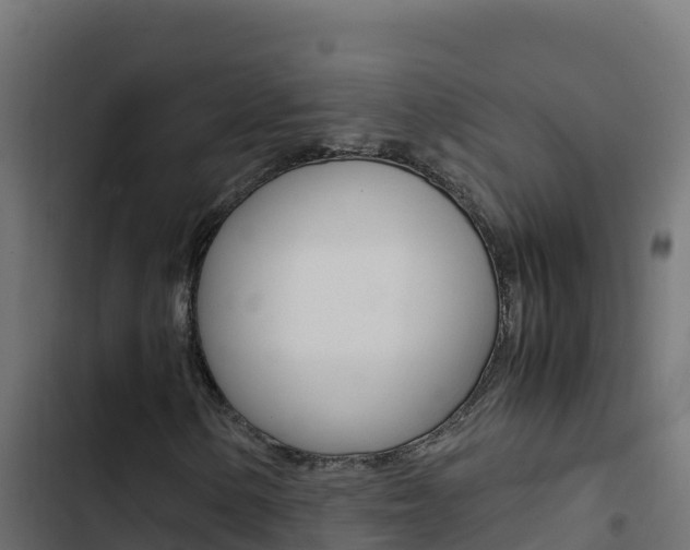 X0000103451154200809121119