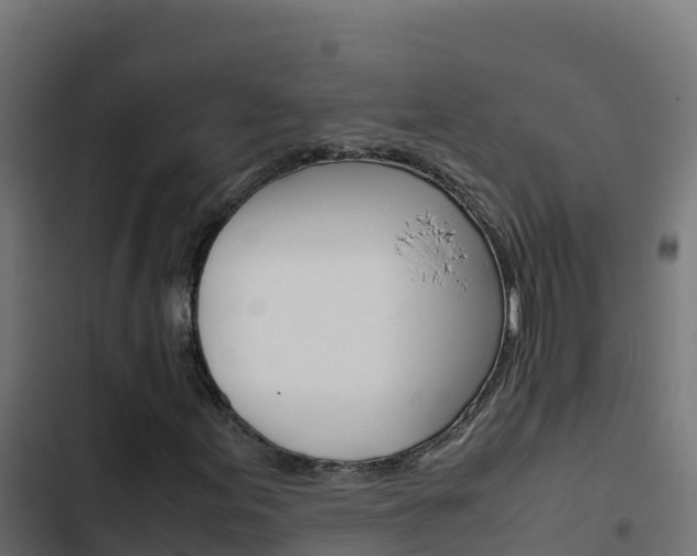 X0000103451155200809121119