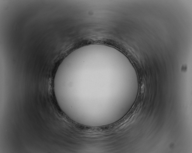 X0000103451156200809121119