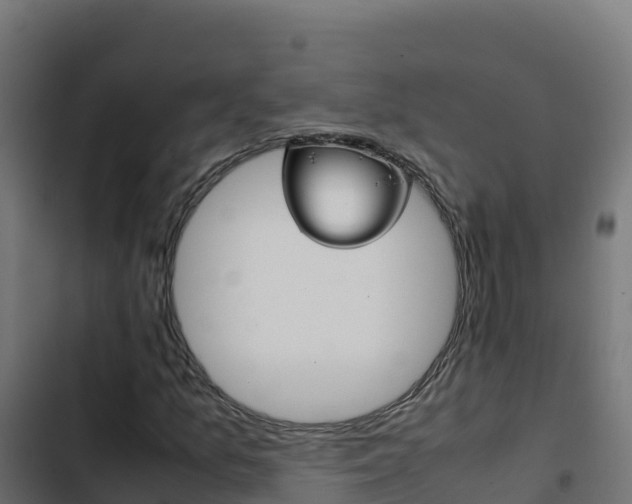 X0000103451157200809121119