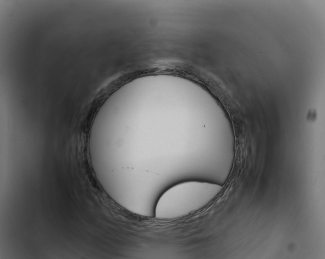 X0000103451158200809121119