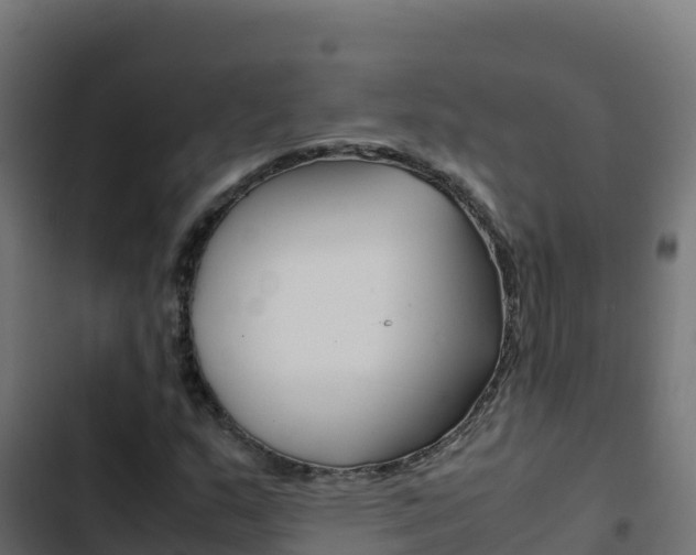 X0000103451159200809121119