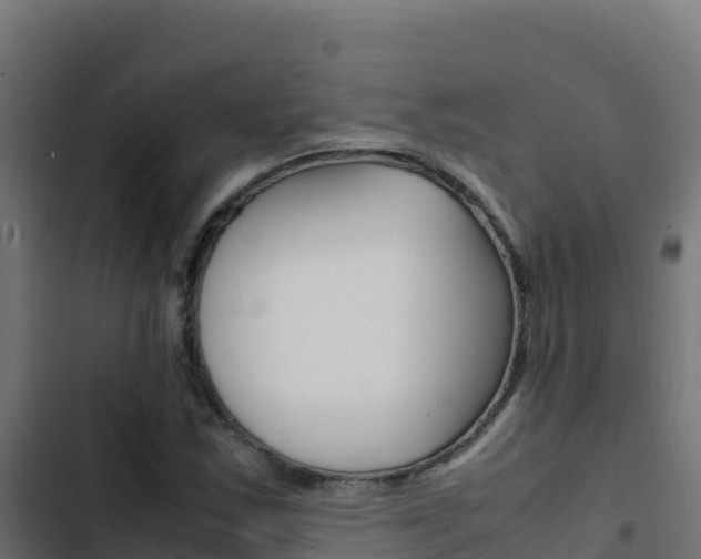 X0000103451163200809121119
