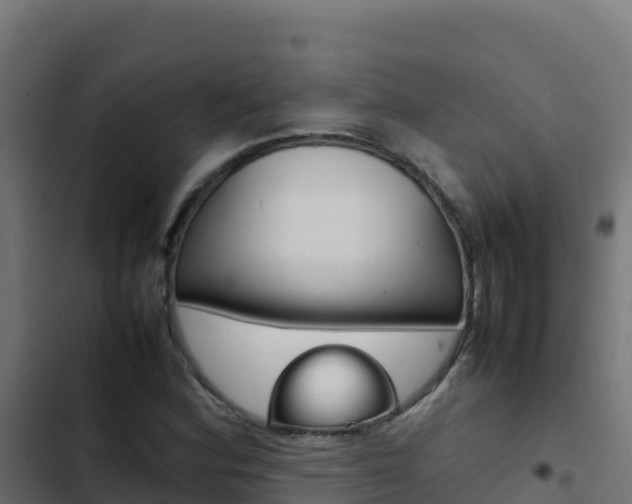 X0000103451164200809121119