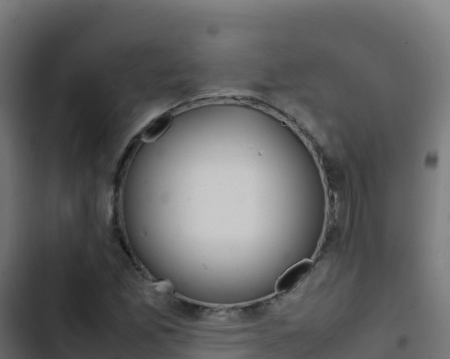 X0000103451165200809121118