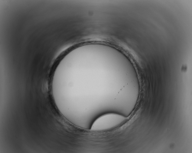 X0000103451166200809121118