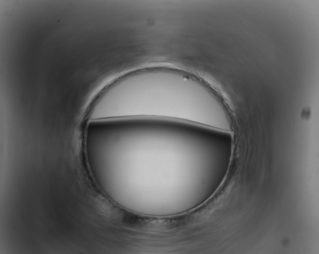 X0000103451167200809121118