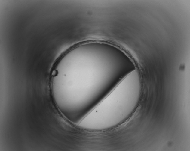 X0000103451168200809121118