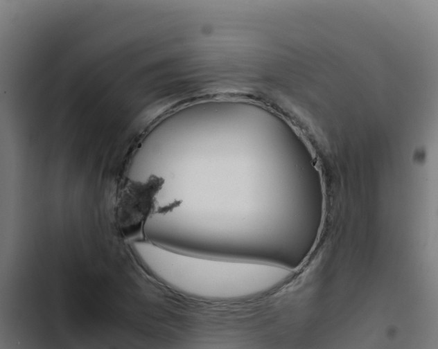 X0000103451169200809121118