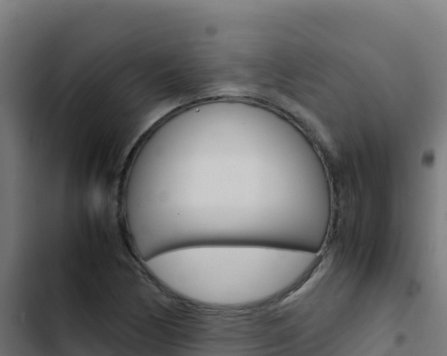 X0000103451170200809121118