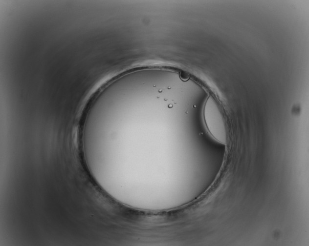 X0000103451173200809121118
