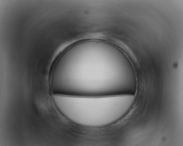 X0000103451176200809121118