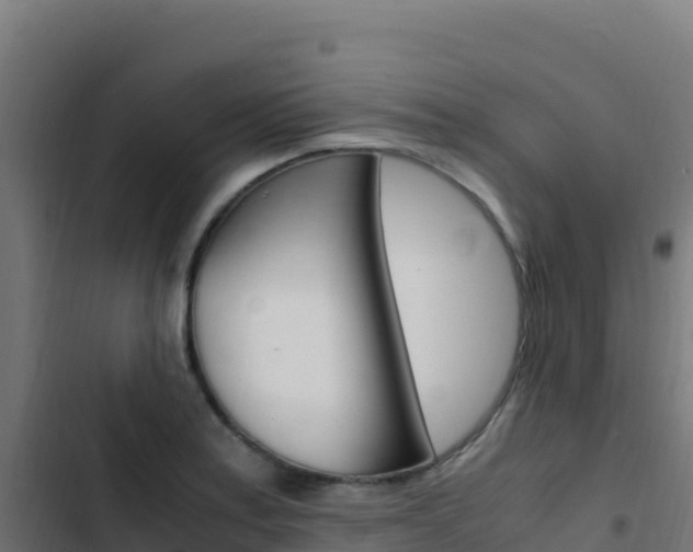 X0000103451179200809121118