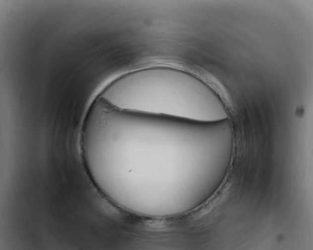 X0000103451182200809121118