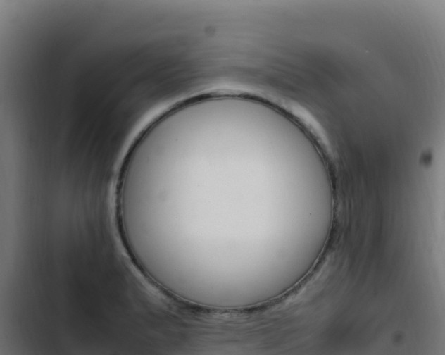 X0000103451183200809121118