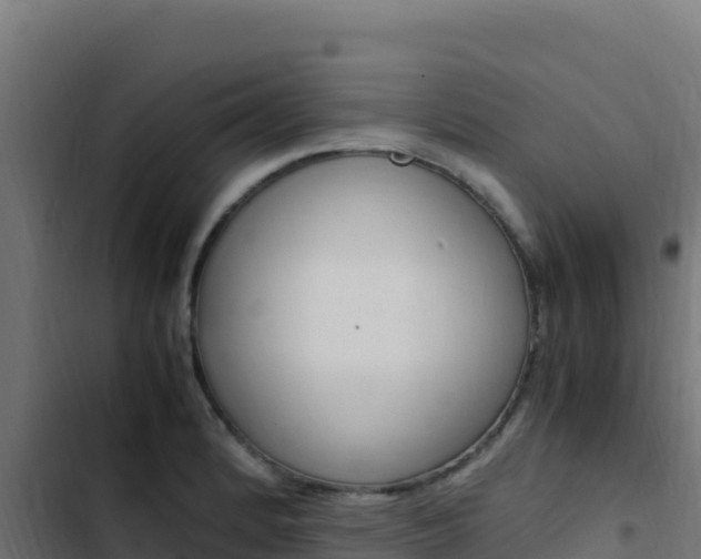 X0000103451184200809121118