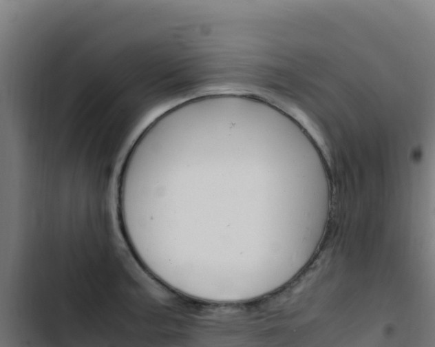 X0000103451187200809121118