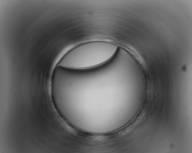 X0000103451188200809121118
