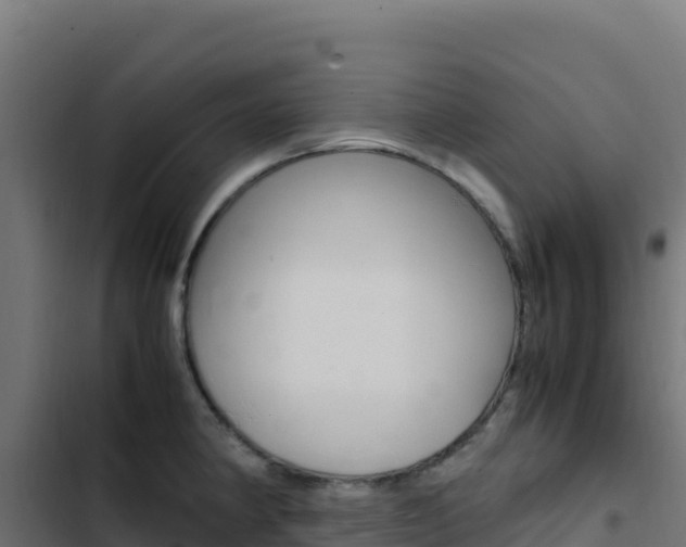X0000103451190200809121118
