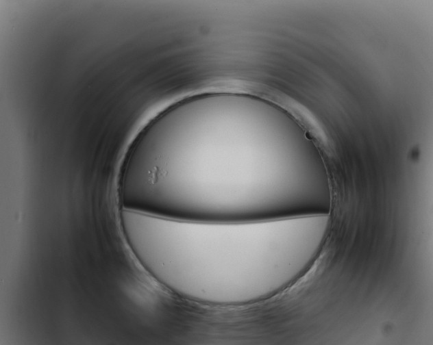 X0000103451192200809121118