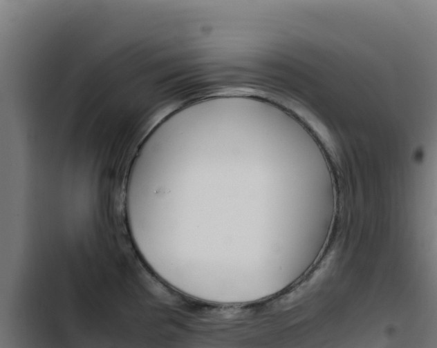 X0000103451193200809121118