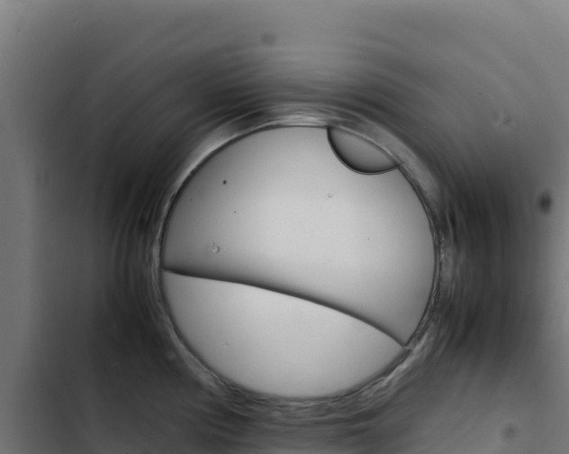 X0000103451194200809121118
