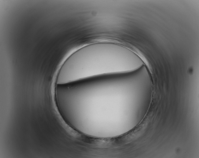 X0000103451195200809121118