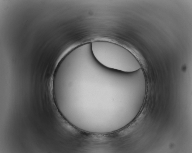 X0000103451198200809121118