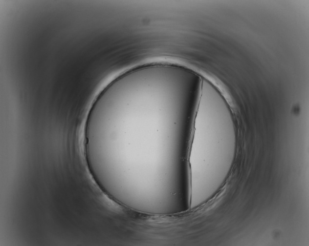X0000103451199200809121118