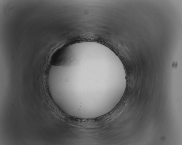 X0000103451201200809121117