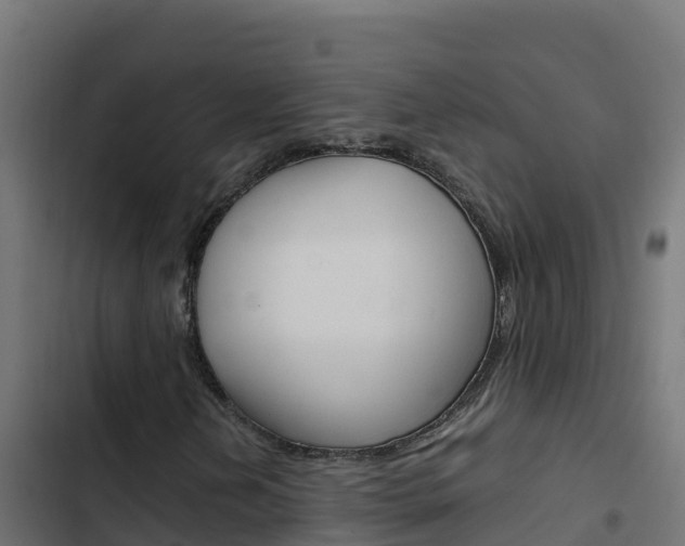 X0000103451202200809121117