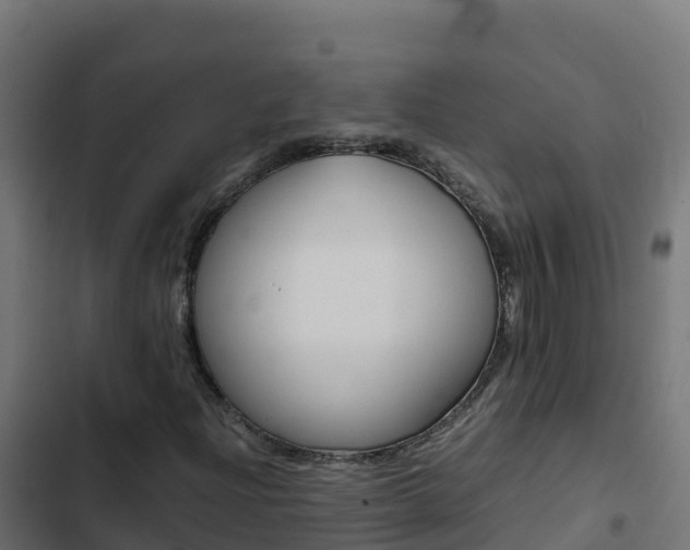 X0000103451204200809121117