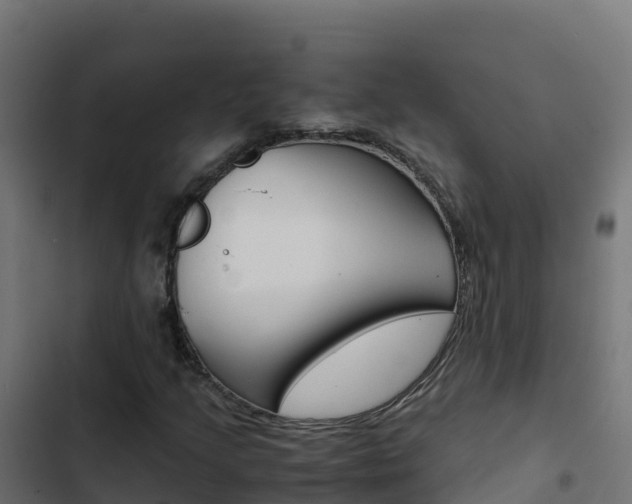 X0000103451205200809121117