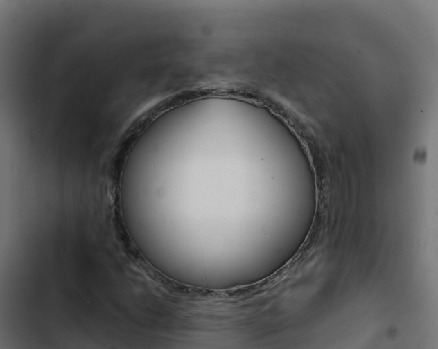 X0000103451206200809121117