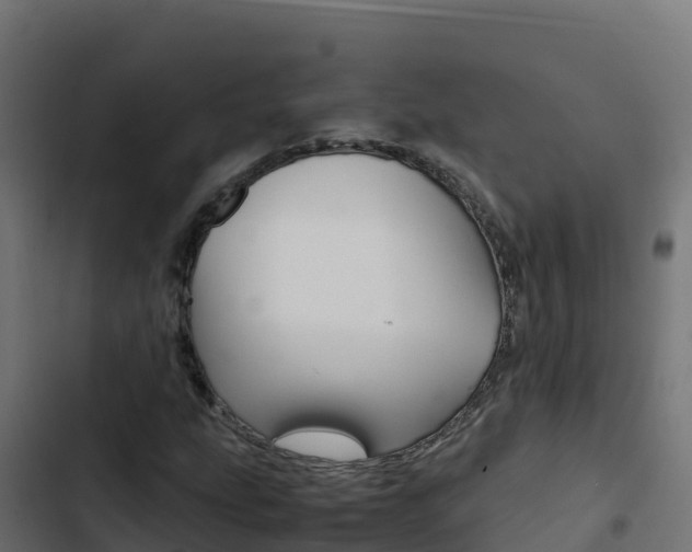 X0000103451207200809121117